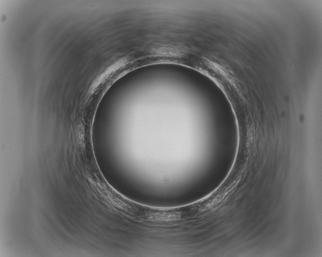 X0000086761307200704131105