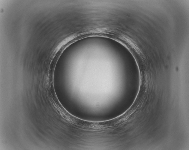 X0000086761308200704131105