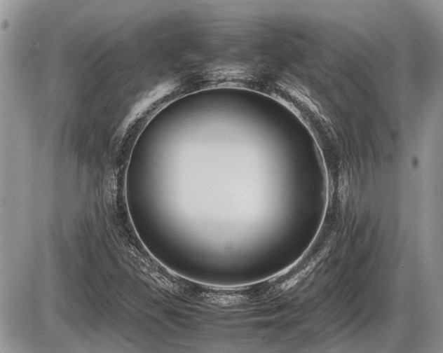X0000086761309200704131105