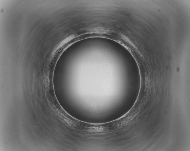 X0000086761315200704131105