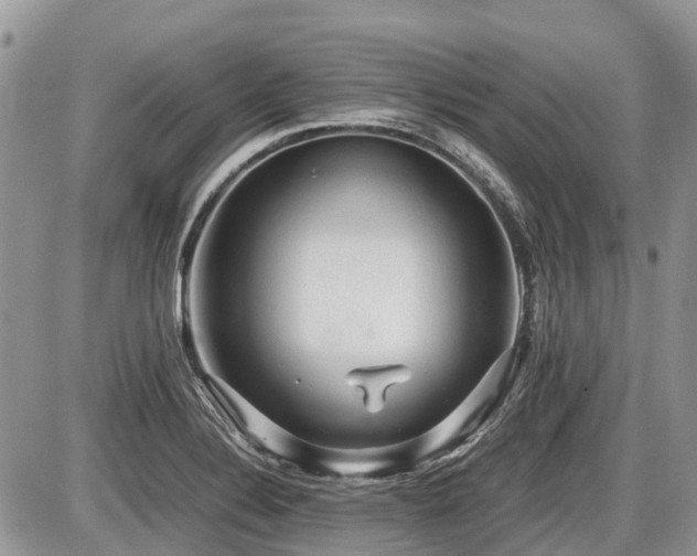 X0000086761324200704131106