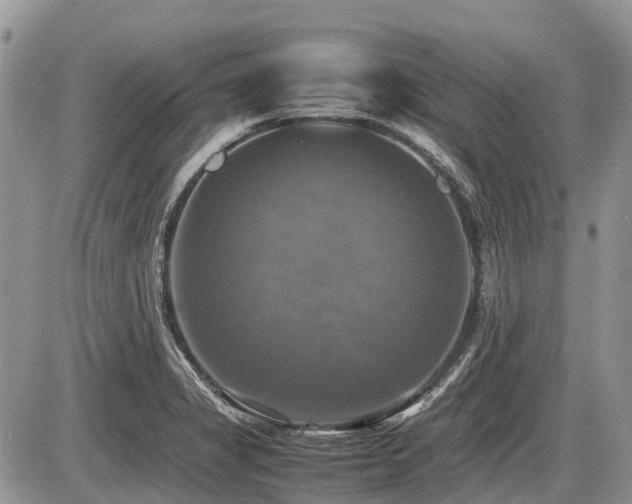 X0000086761325200704131106
