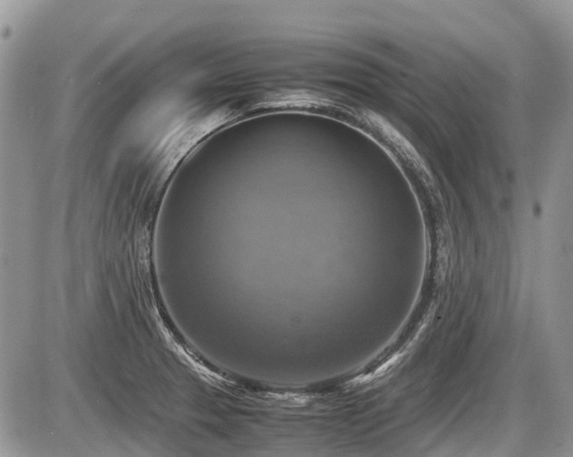 X0000086761329200704131106