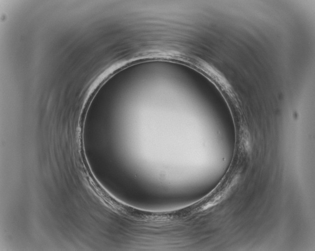 X0000086761332200704131106