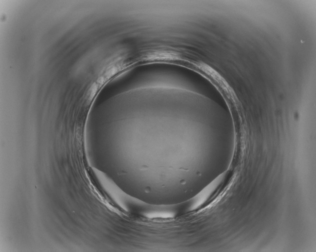 X0000086761337200704131106