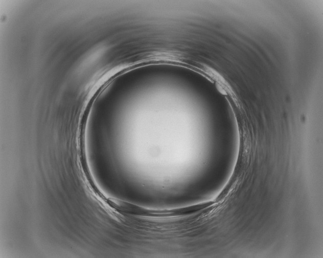 X0000086761339200704131106