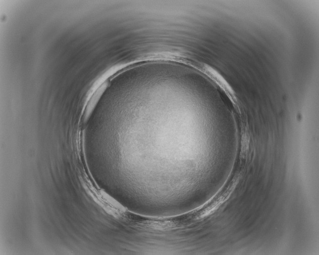 X0000086761340200704131106