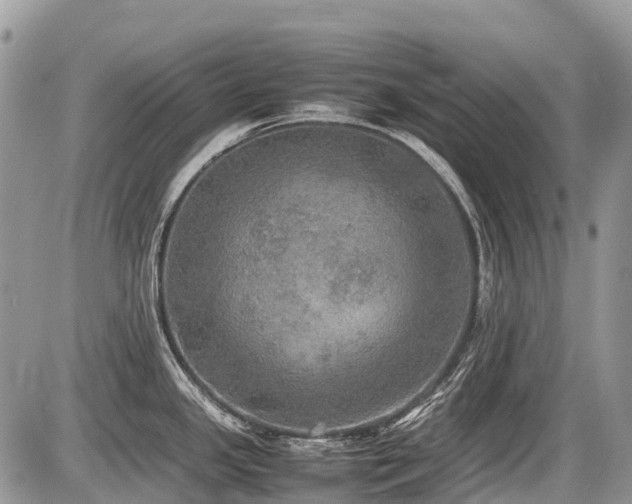 X0000086761341200704131106