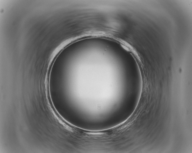 X0000086761343200704131106