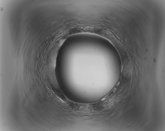X0000086761345200704131105