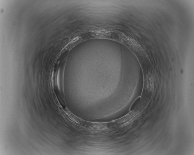 X0000086761346200704131105