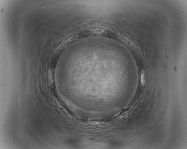 X0000086761347200704131105