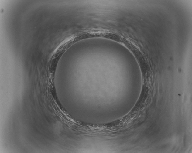 X0000086761351200704131105