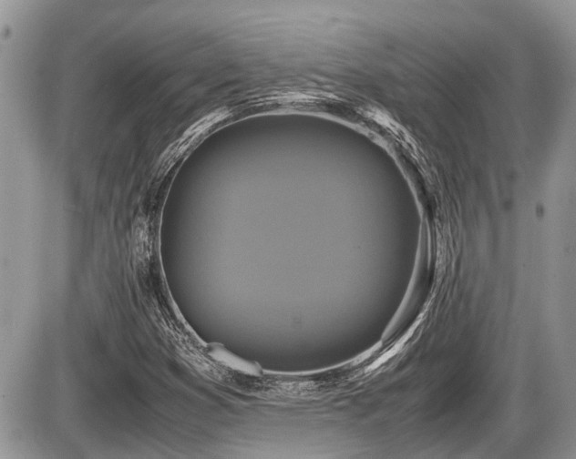 X0000086761353200704131105