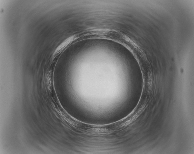X0000086761354200704131105