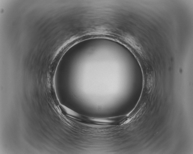X0000086761356200704131105