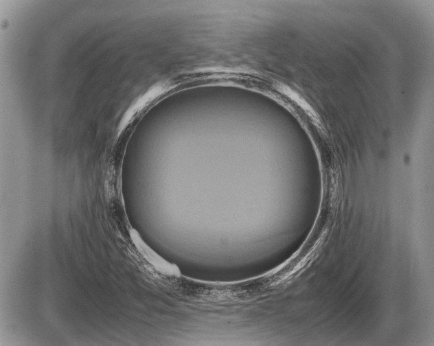 X0000086761357200704131105