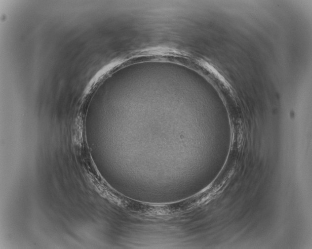X0000086761358200704131105