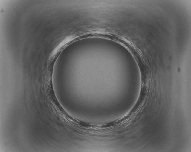 X0000086761359200704131105