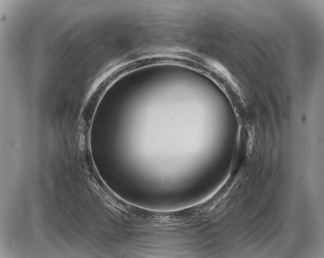 X0000086761360200704131105