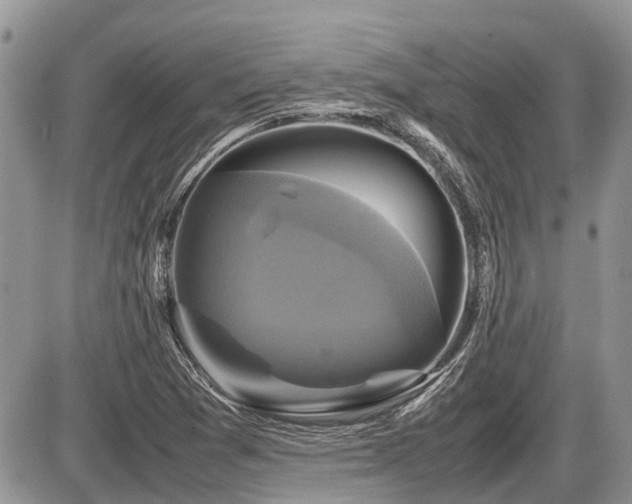 X0000086761361200704131105