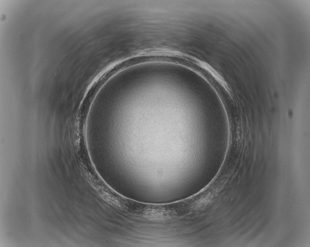 X0000086761364200704131105