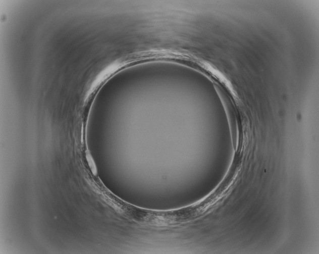 X0000086761365200704131105