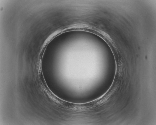 X0000086761366200704131105