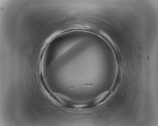 X0000086761371200704131105