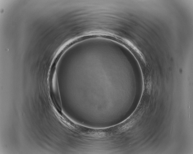 X0000086761372200704131105
