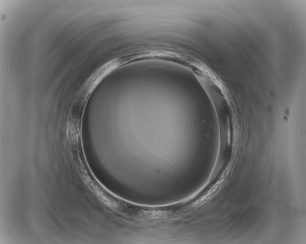 X0000086761377200704131105