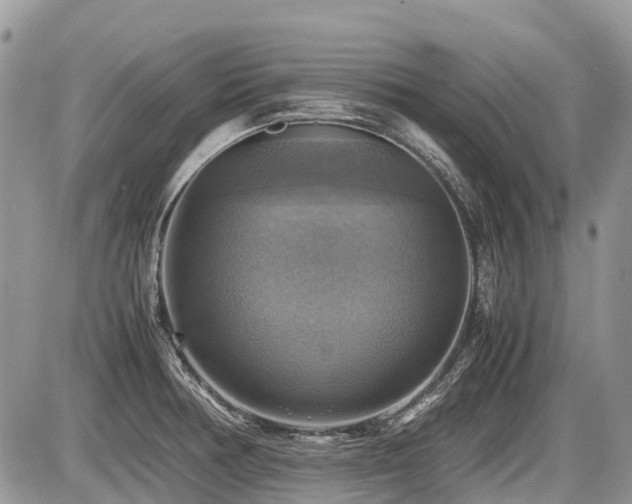 X0000086761378200704131105
