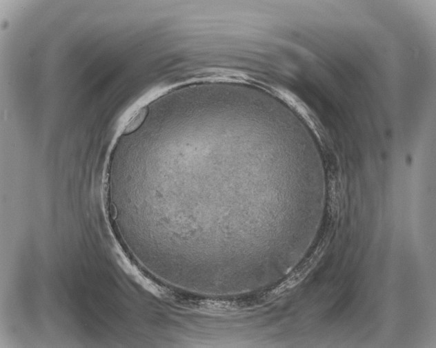 X0000086761379200704131105