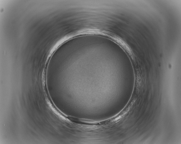 X0000086761382200704131105