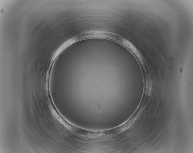 X0000086761386200704131104