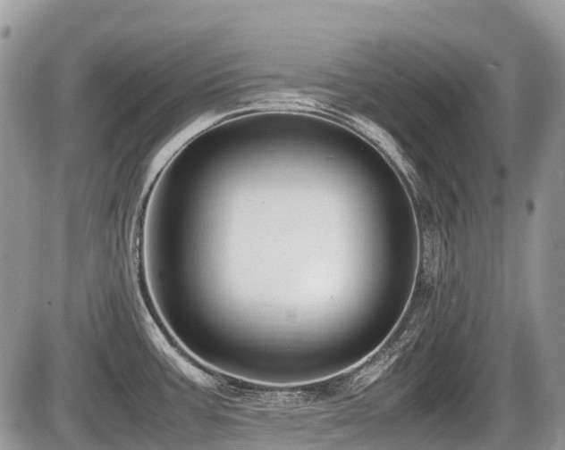 X0000086761387200704131104