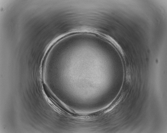 X0000086761388200704131104