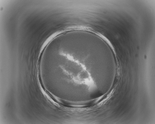 X0000086761389200704131104
