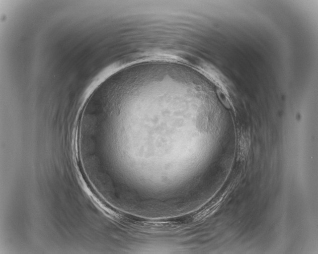 X0000086761391200704131104