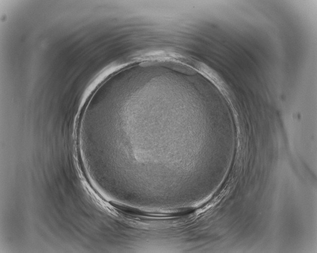 X0000086761392200704131104