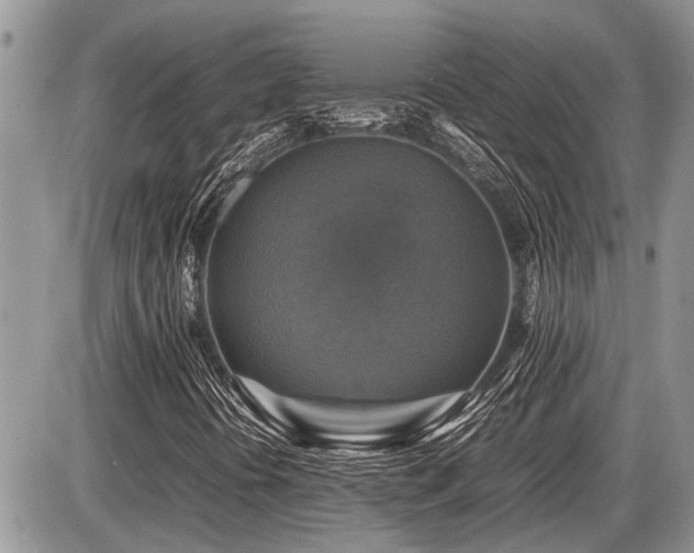 X0000086761394200704131104