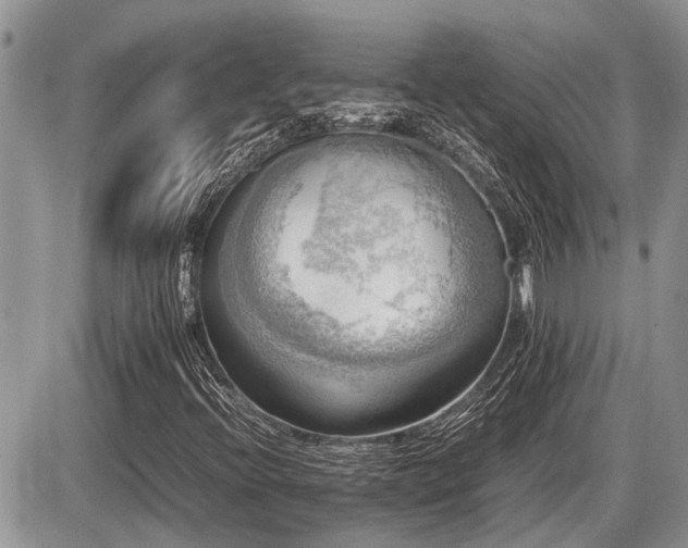 X0000086761396200704131104