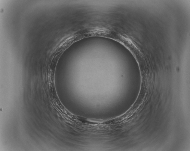 X0000086761399200704131104