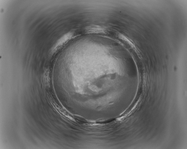X0000086761403200704131104