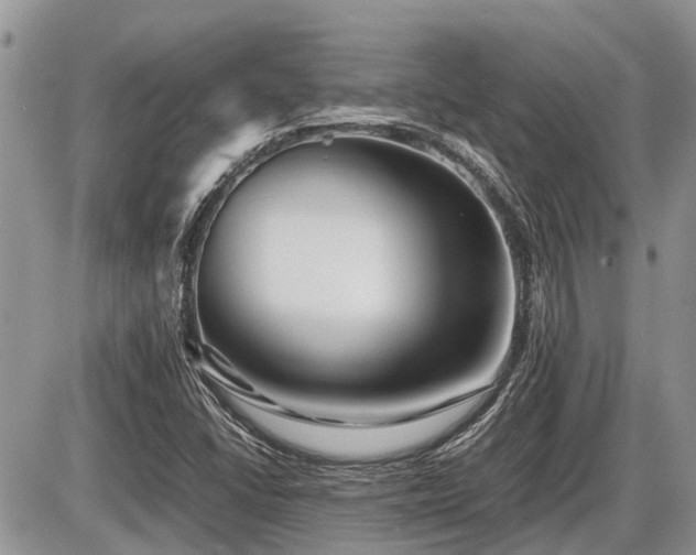 X0000086761406200704131104