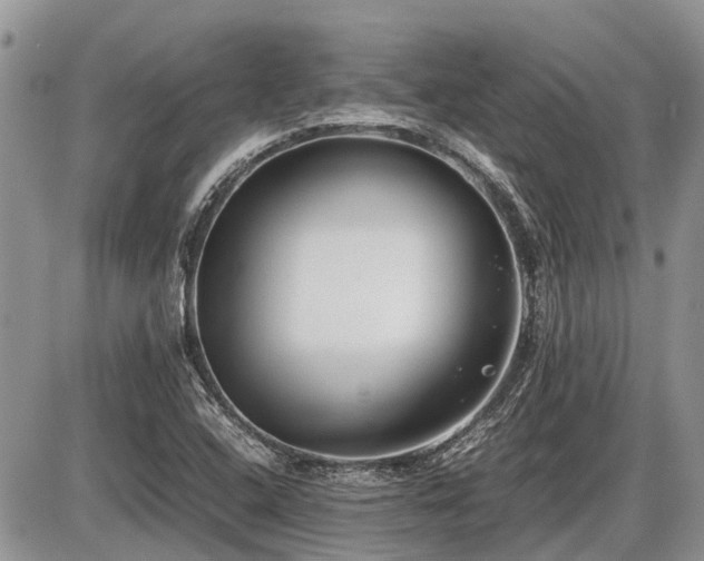 X0000086761408200704131104