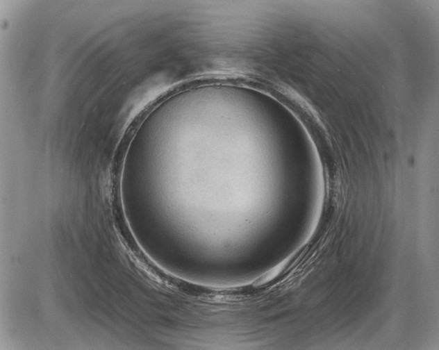 X0000086761412200704131104