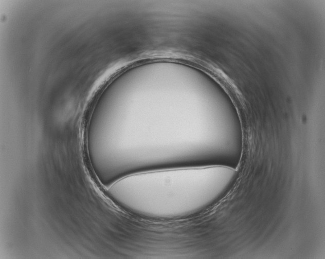 X0000086761416200704131104