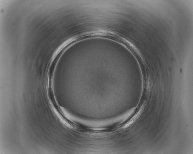 X0000086761418200704131104
