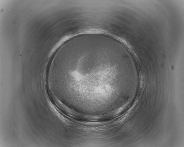 X0000086761422200704131104